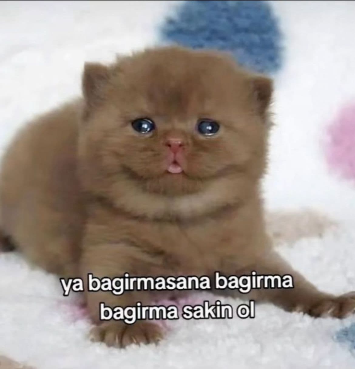 Av. Sümeyye KASAP